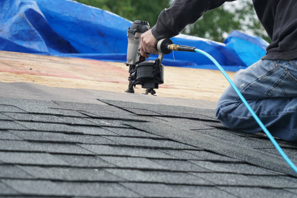 Best Roof Gutter Cleaning  in Vernon Center, NJ