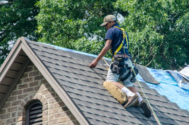 Best Storm Damage Roof Repair  in Vernon Center, NJ
